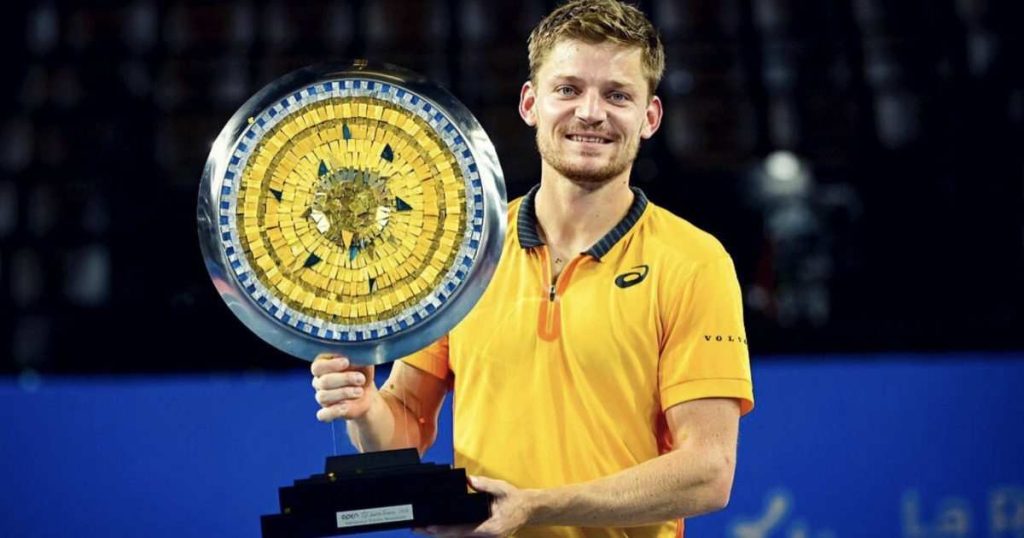 David Goffin Net Worth 2023